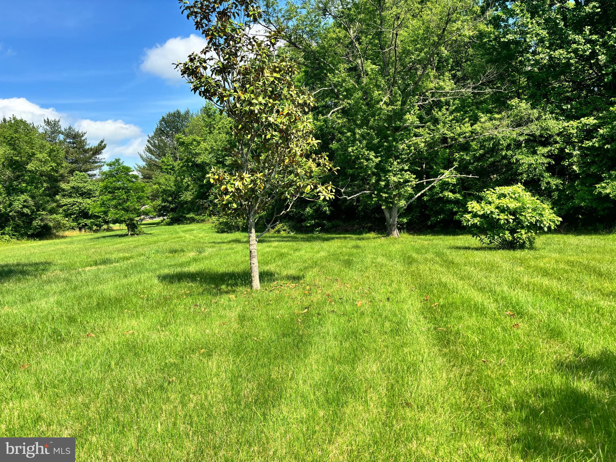 CABIN BRANCH ACRES - Residential