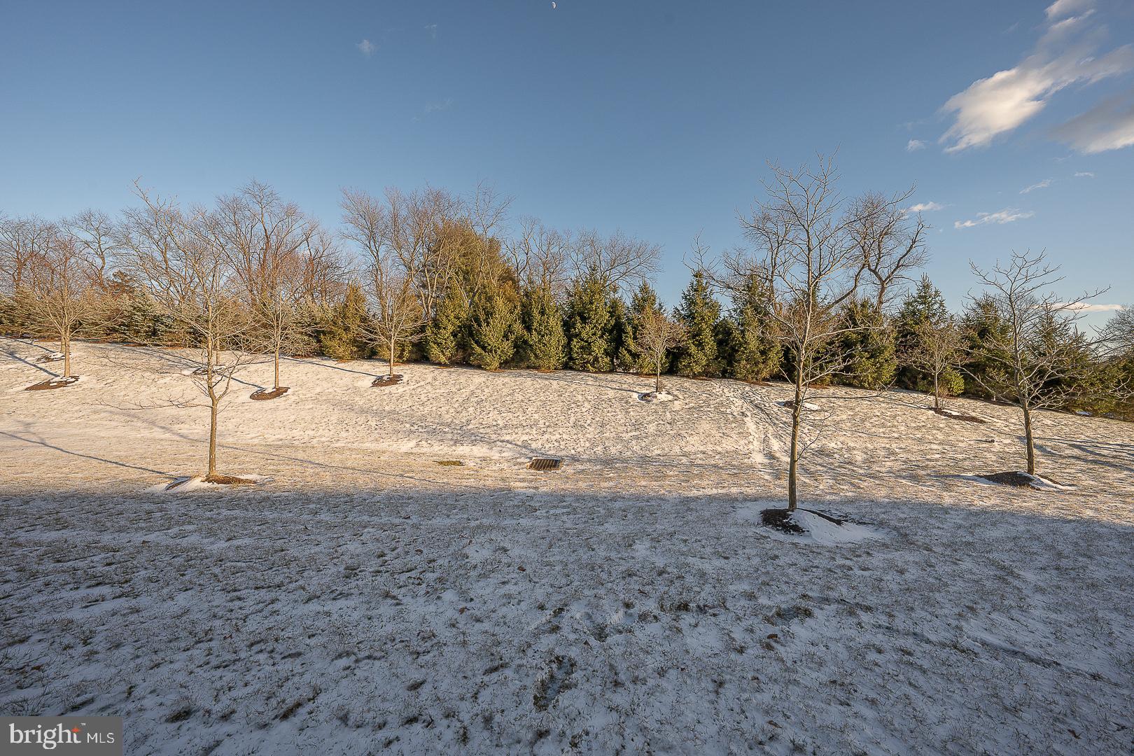 MAIN STREET CROSSING - Residential