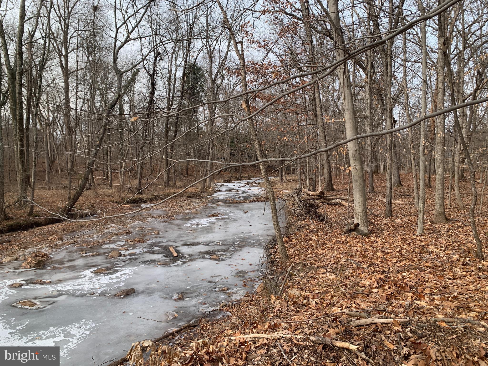 LOTS 3 and 4 TAYLORSVILLE ROAD