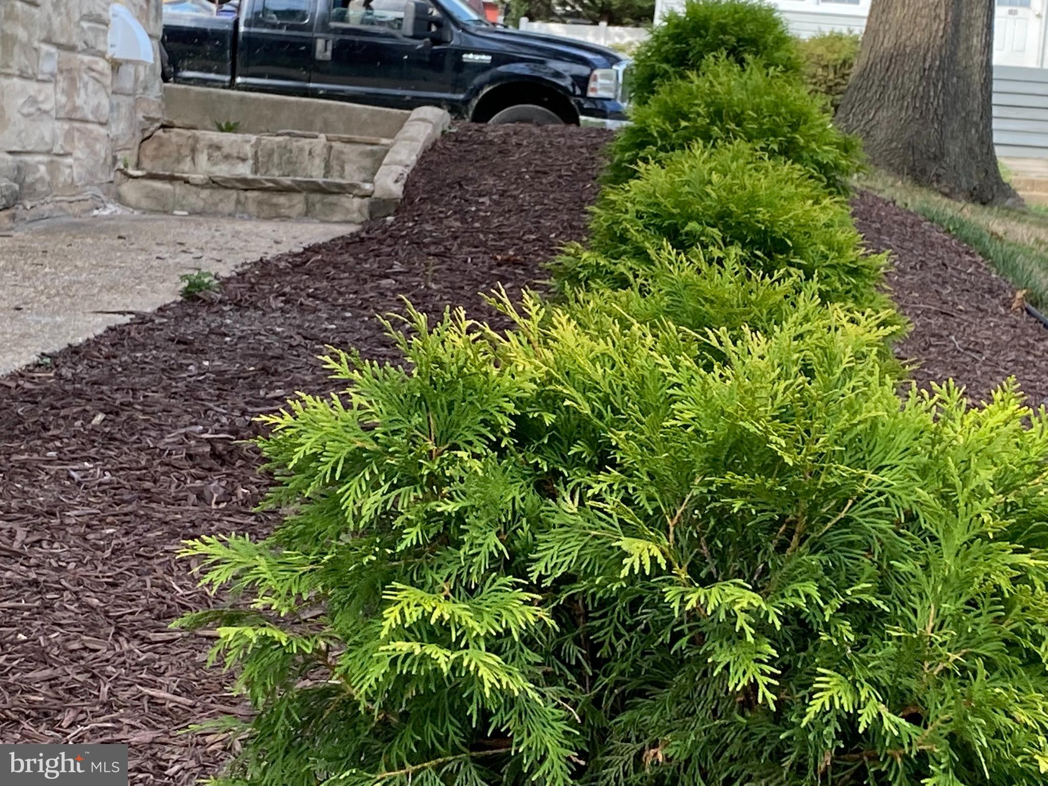 RIDGEWOOD - Residential Lease