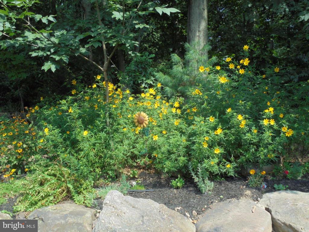 MORGANSHIRE - Residential