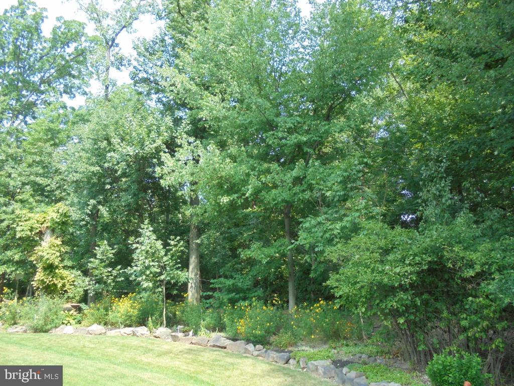 MORGANSHIRE - Residential