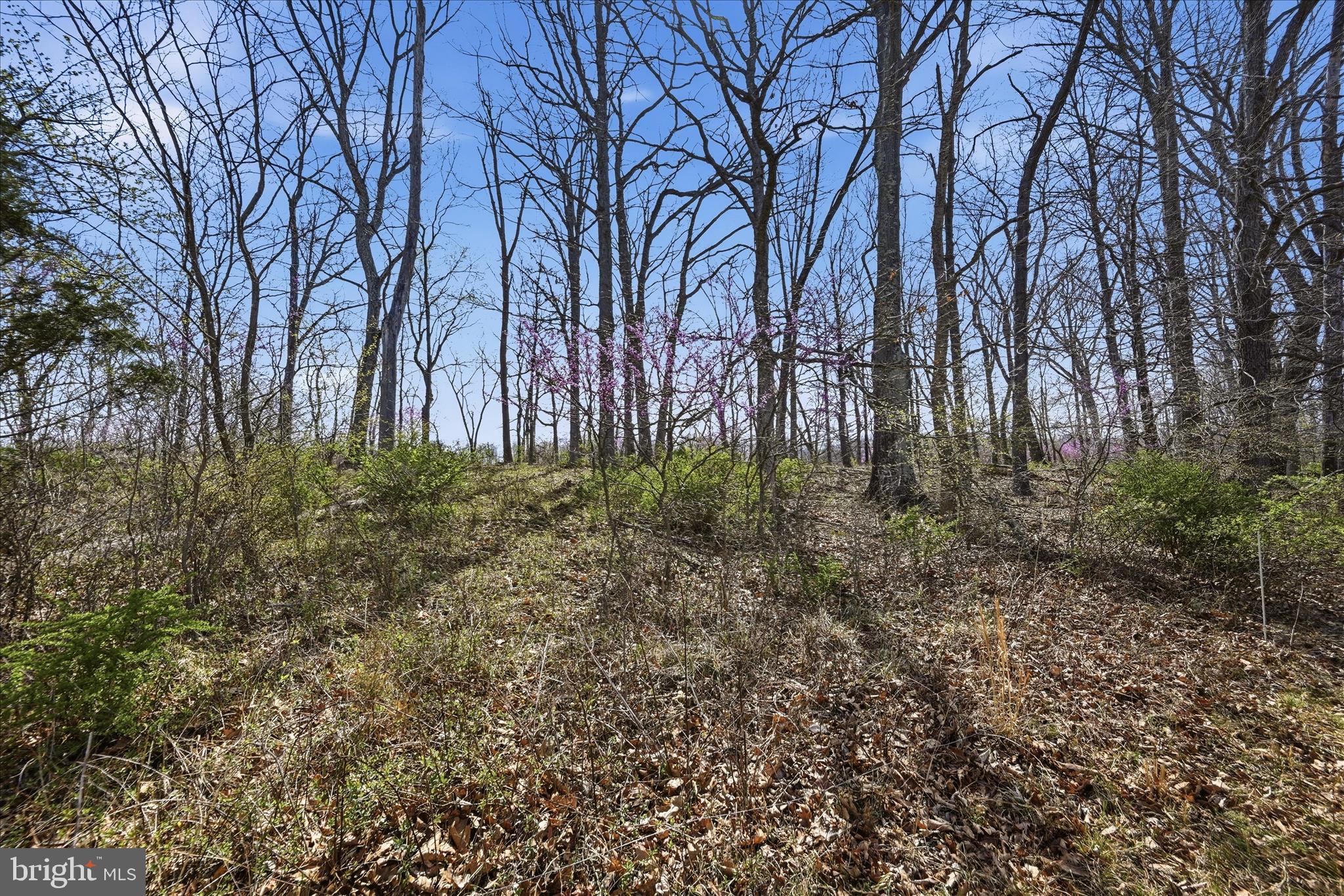 NONE AVAILABLE - Land