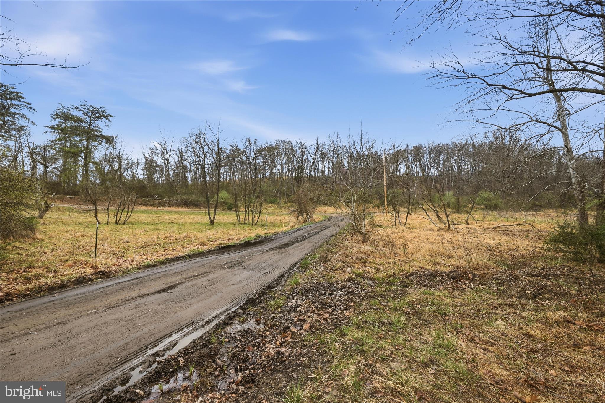 NONE AVAILABLE - Land