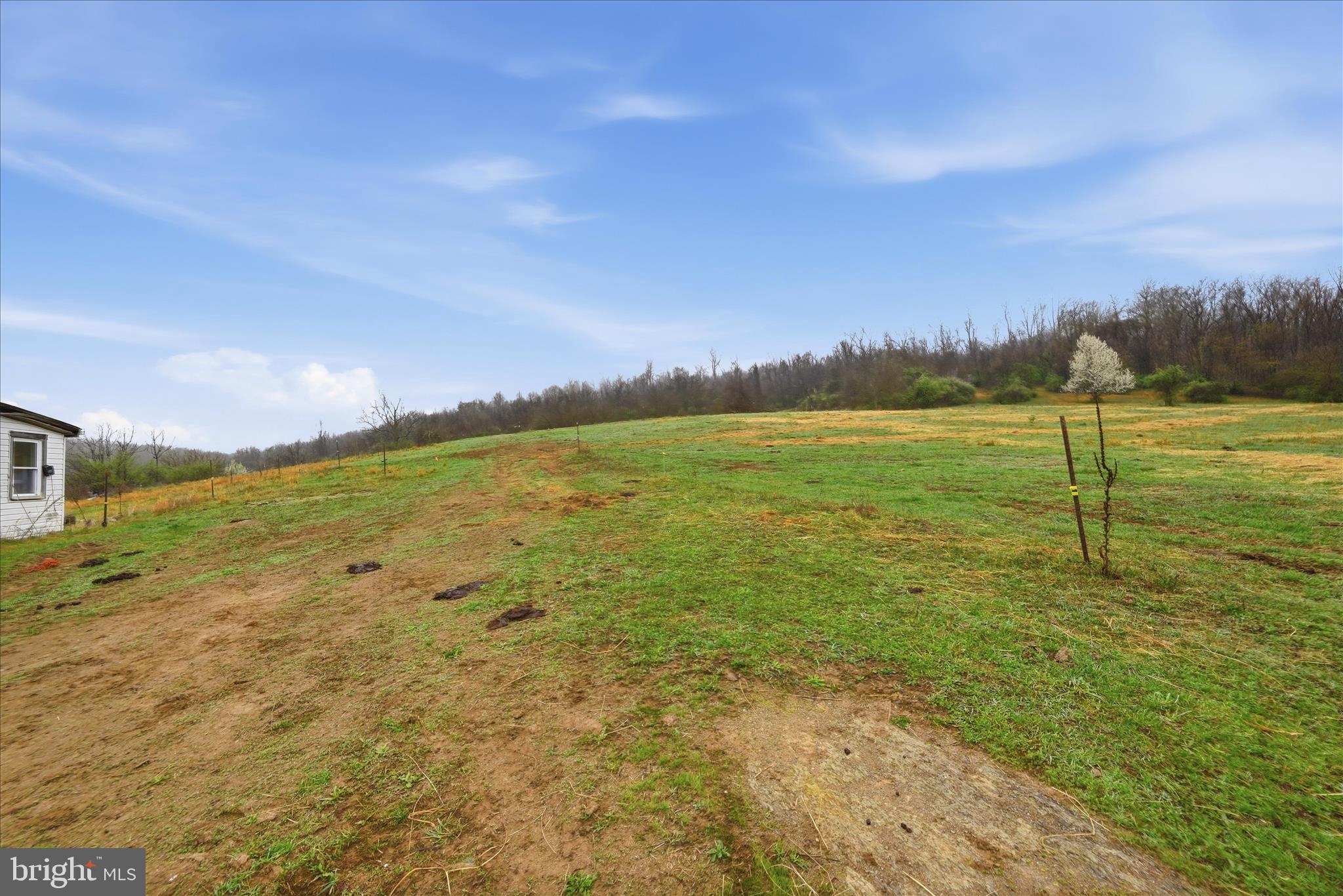 NONE AVAILABLE - Land