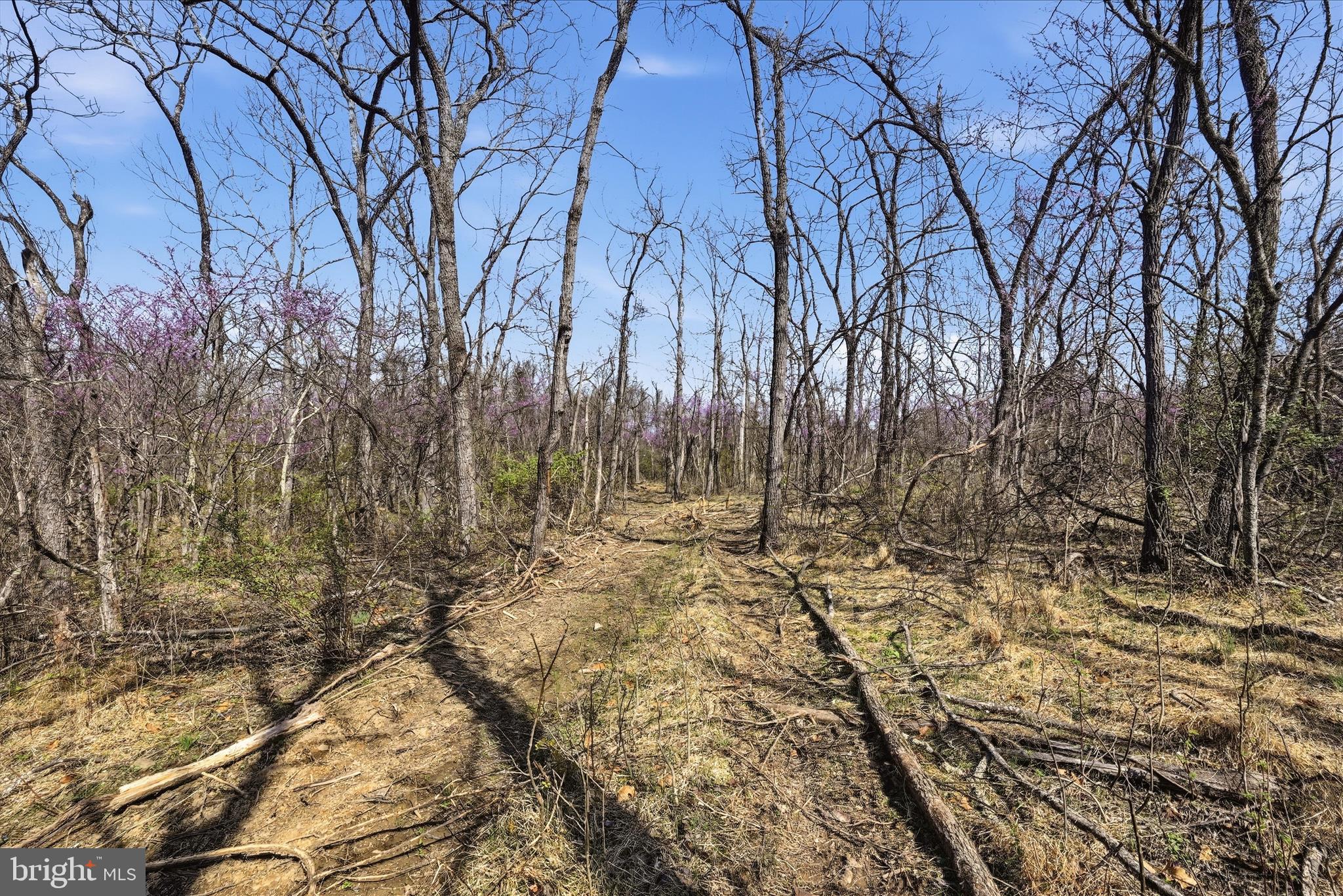 NONE AVAILABLE - Land