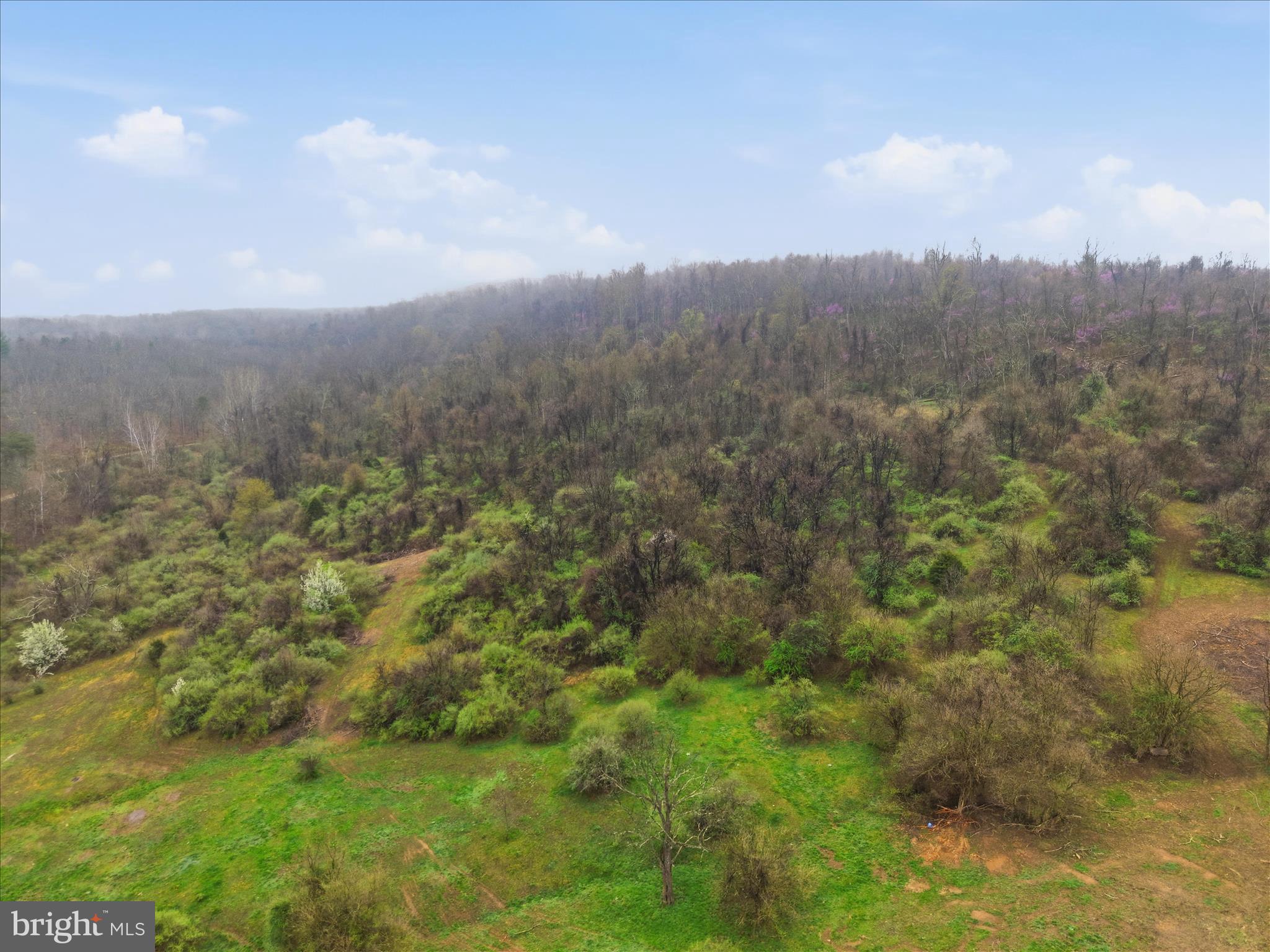 NONE AVAILABLE - Land