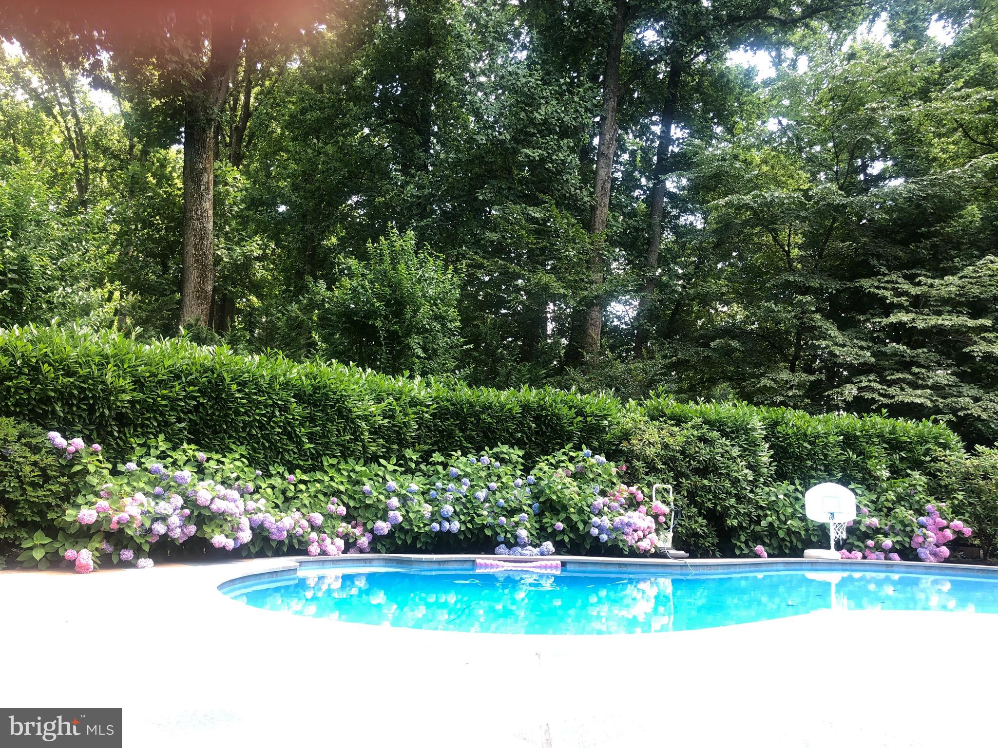 WILLIAMSBURG GARDENS - Residential