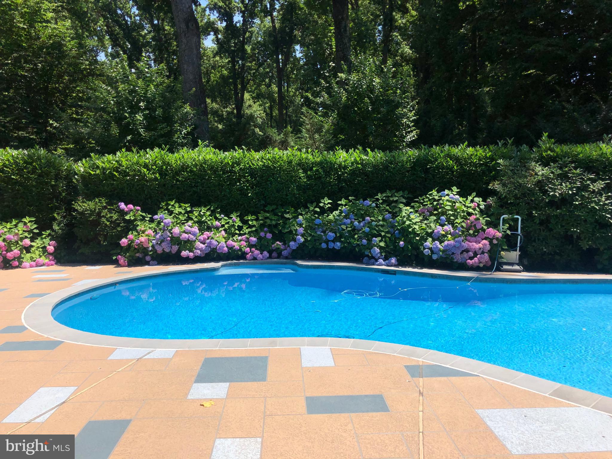 WILLIAMSBURG GARDENS - Residential