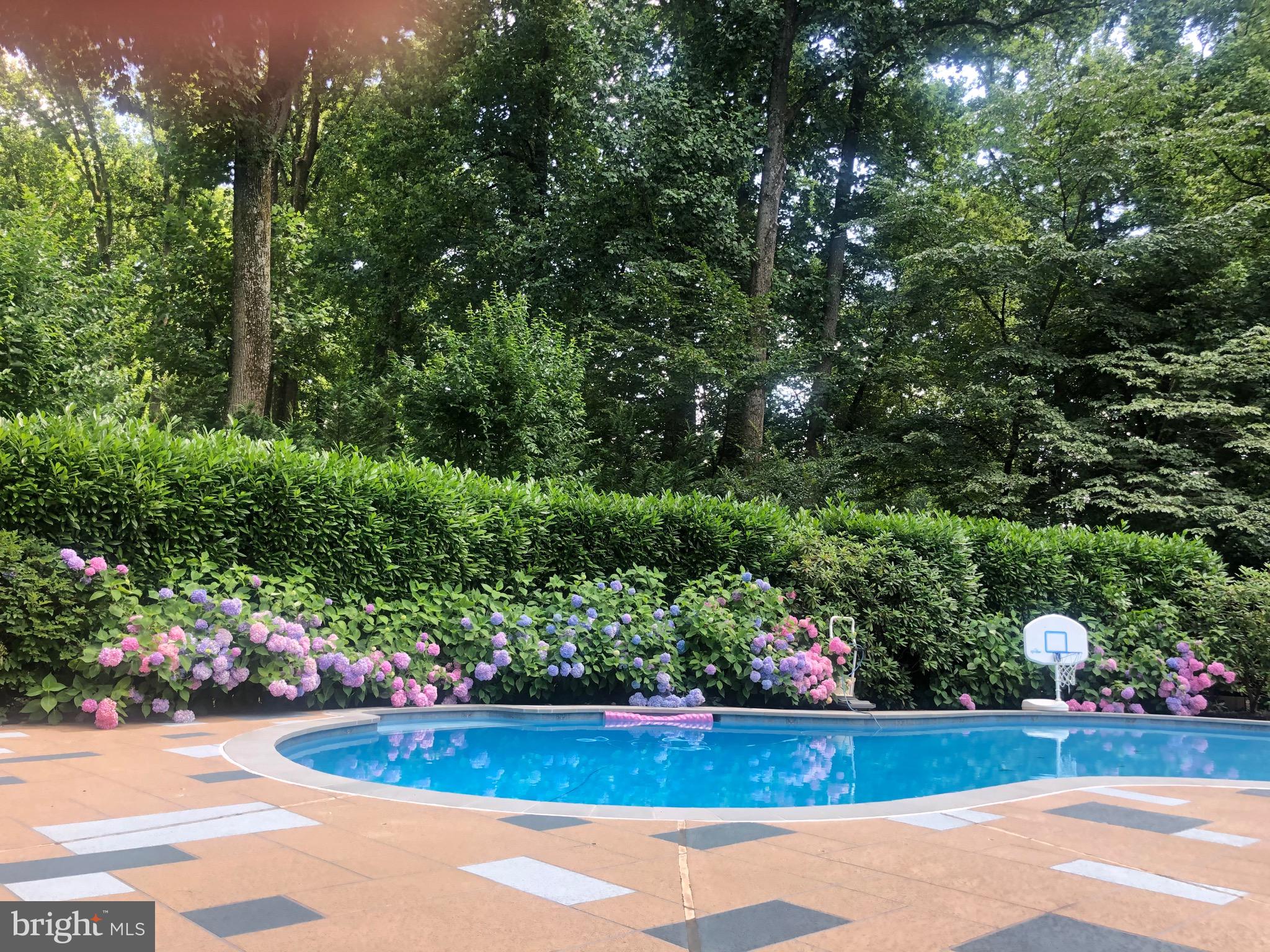 WILLIAMSBURG GARDENS - Residential