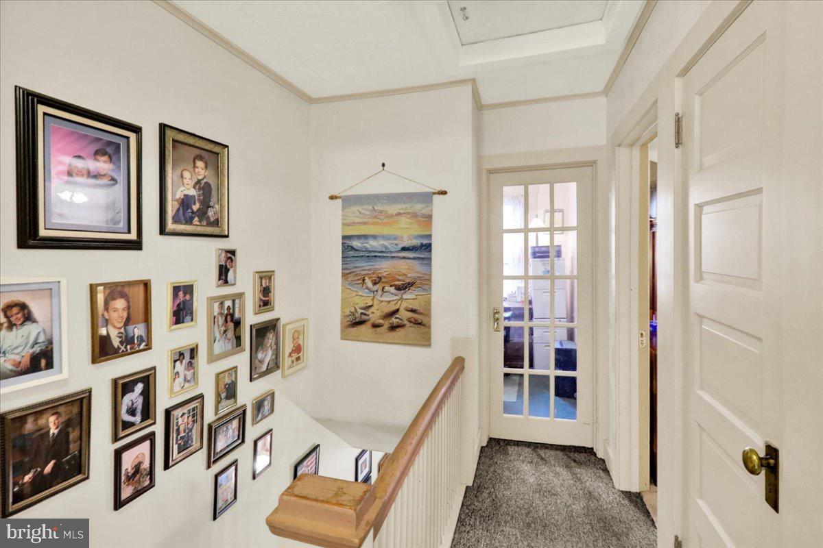 WYOMISSING PARK - Residential