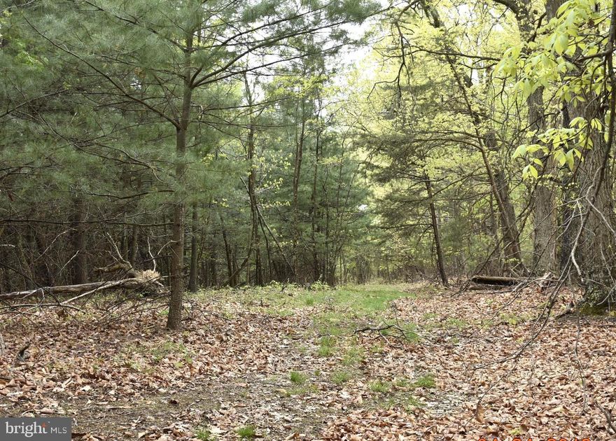 IF YOUR LOOKING FOR PRIVACY YET CONVENIENTLY LOCATED WITH EASY COMMUTING TO WORK OR SHOPPING, YOU OWE IT TO YOURSELF TO CHECK OUT THIS 3.02 AC+- PARCEL LOCATED IN A RURAL SETTING  BUT JUST MINUTES OFF RT#522. ABOUT 10 MINUTES FROM HISTORIC BERKELEY SPRINGS WV WITH ITS QUAINT SHOPS & RESTAURANTS. ABOUT A 30 MINUTE DRIVE TO HANCOCK MD WITH THE POTOMAC RIVER, C&O CANAL & WESTERN MD BIKE PATH.  OR, IF YOUR LOOKING FOR A PLACE TO BUILD A WEEKEND GETAWAY. THIS LAND IS APPROXIMATELY 1 & 1/2 TO 2 HOURS FROM WASHINGTON DC & BALTIMORE MD. GET BACK TO NATURE AND SOME PEACE & QUIET & TAKE A BREAK FROM THIS FAST PACED WORLD AND LET THIS LAND BE YOUR PERSONAL RETREAT.