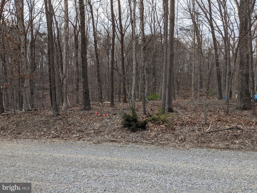 The lot is on Maple lane in Shenandoah Retreat.  Please check with the county to find out what type of septic would be needed to build on this lot or if it is big enough to be buildable.