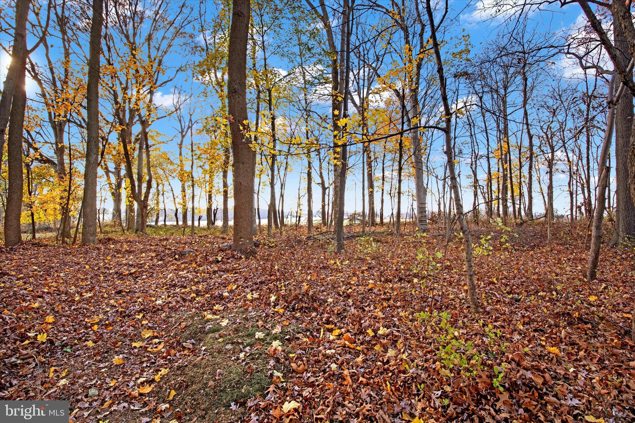 JARRETTSVILLE - Residential