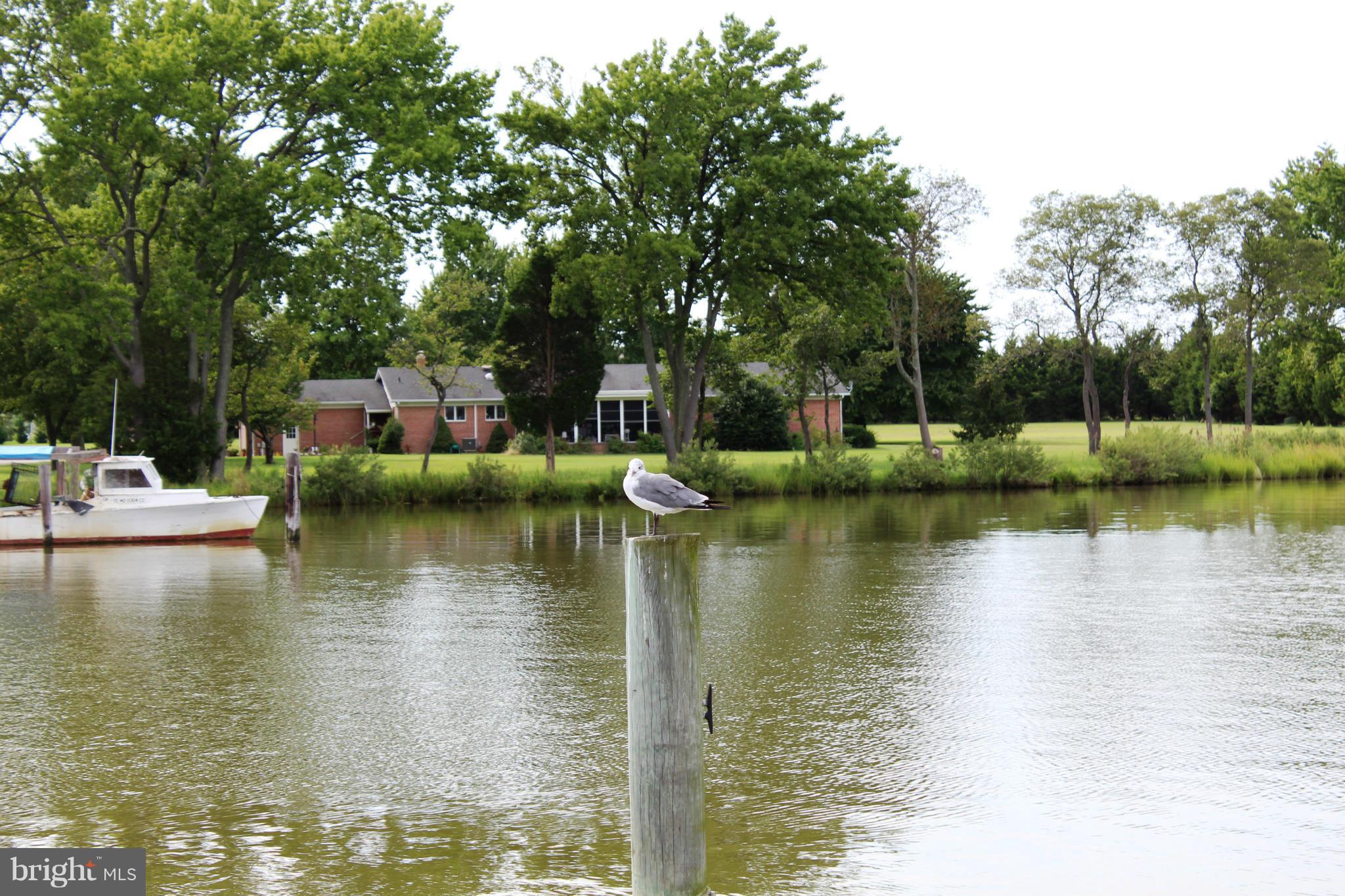 KENT COVE - Residential