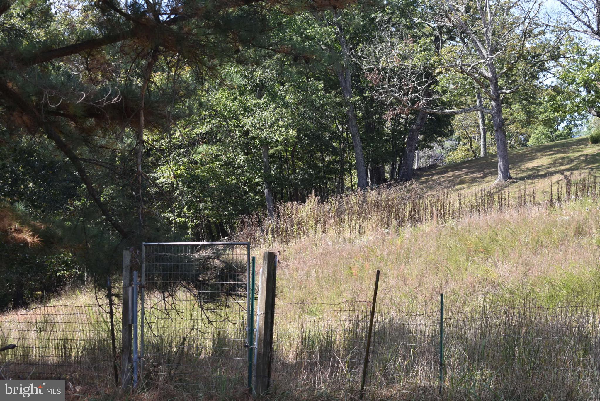 BERKELEY SPRINGS - Residential