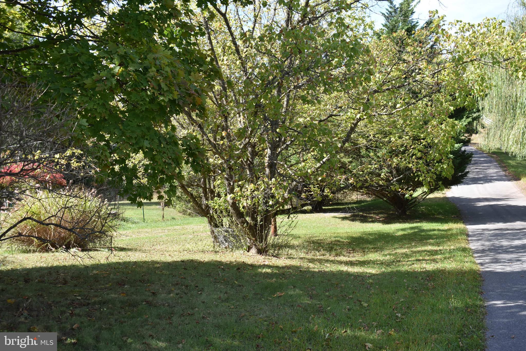 BERKELEY SPRINGS - Residential