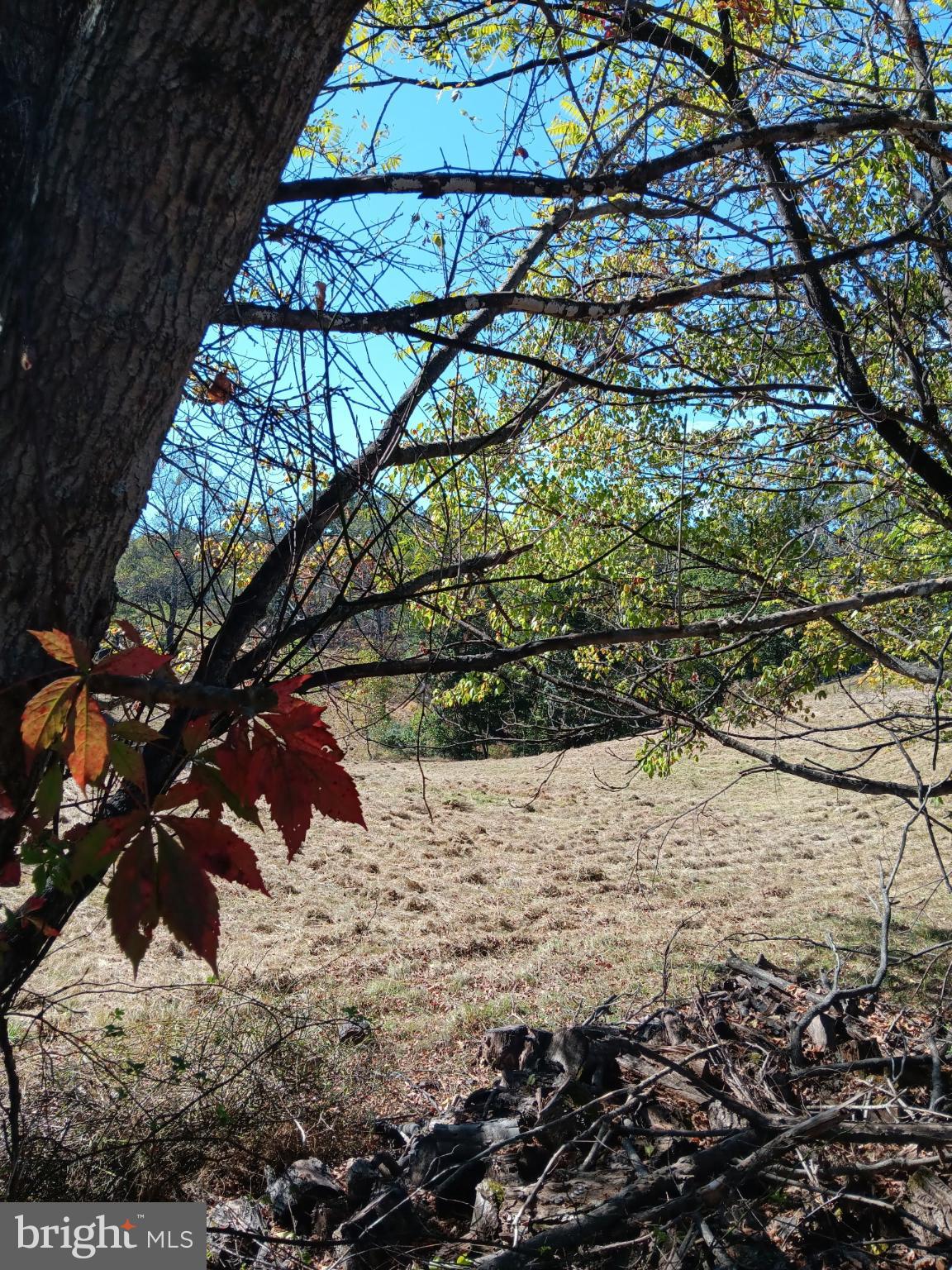 BERKELEY SPRINGS - Residential
