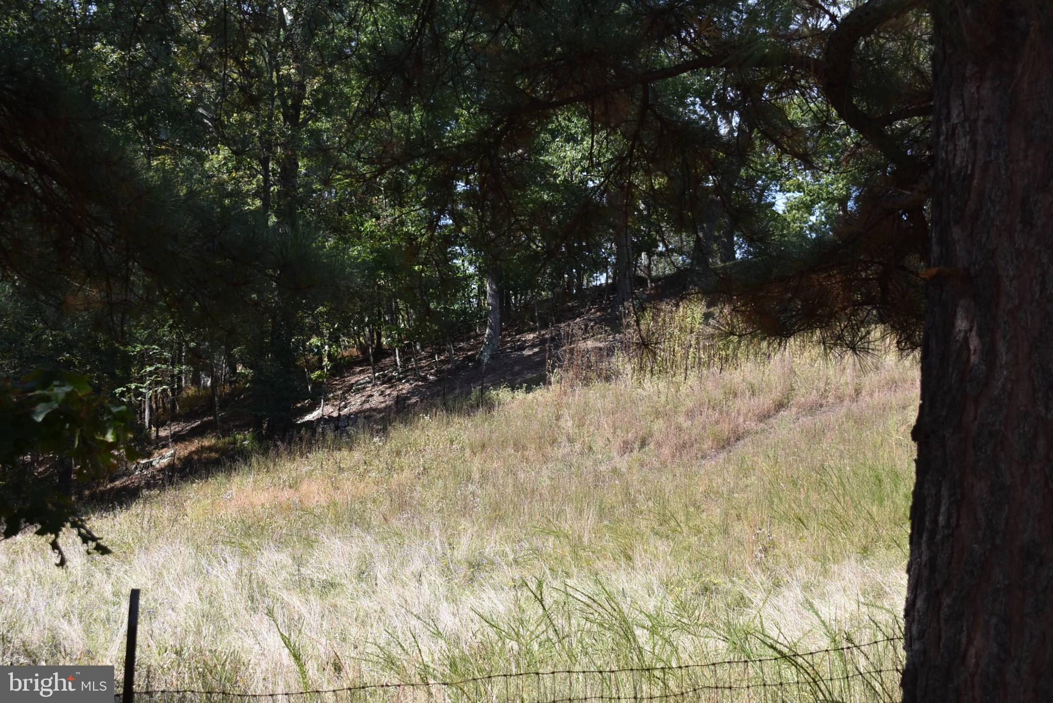 BERKELEY SPRINGS - Residential