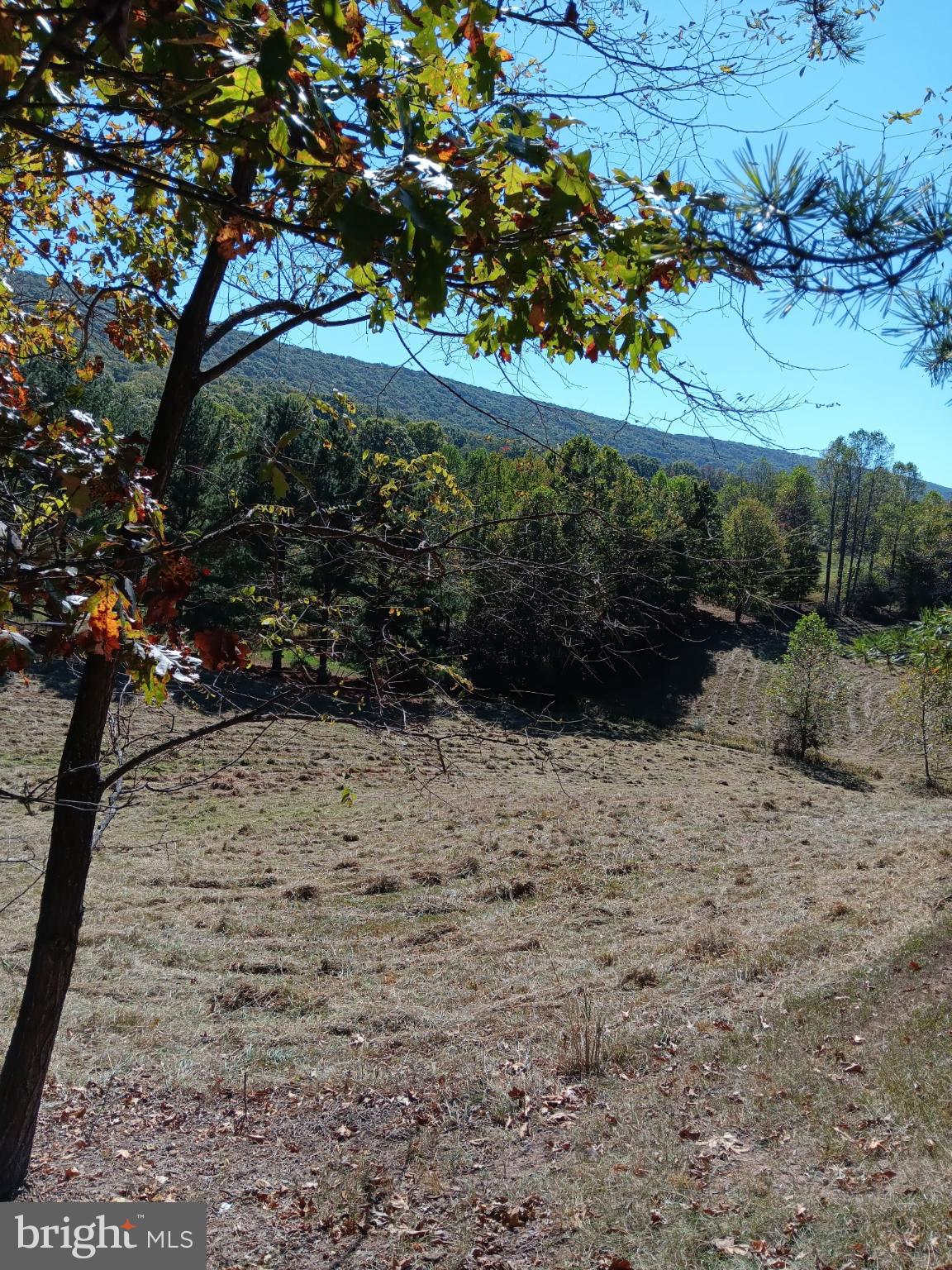 BERKELEY SPRINGS - Residential