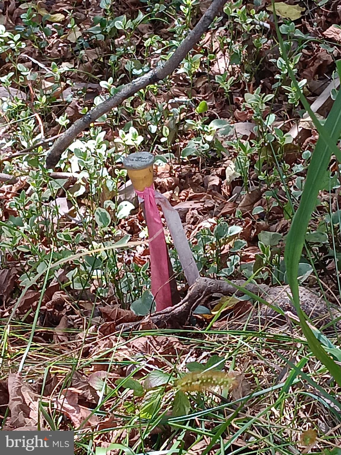 BERKELEY SPRINGS - Residential