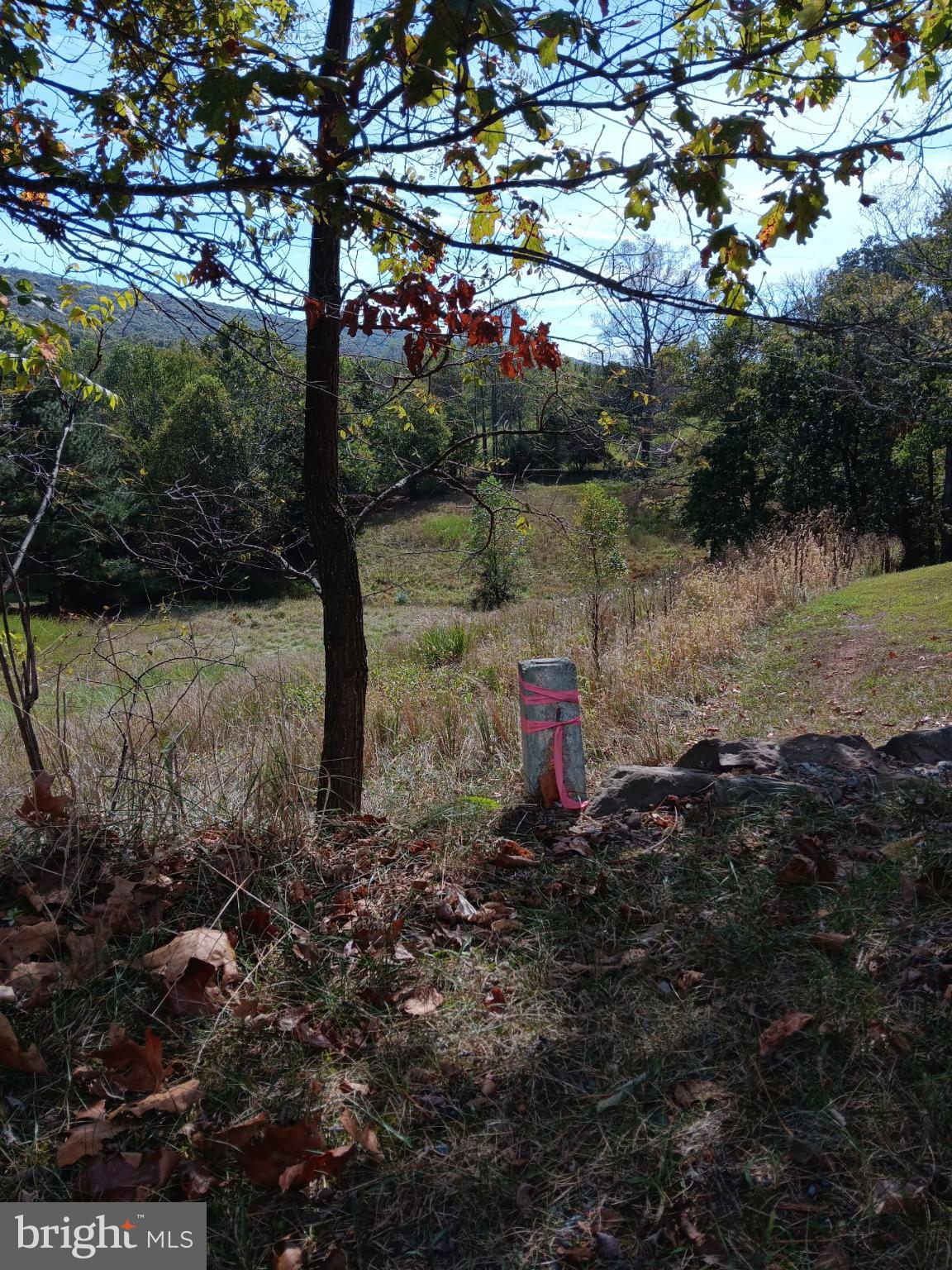 BERKELEY SPRINGS - Residential