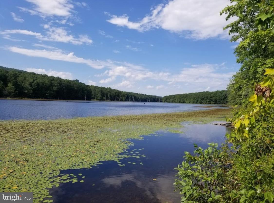 BERKELEY SPRINGS - Residential