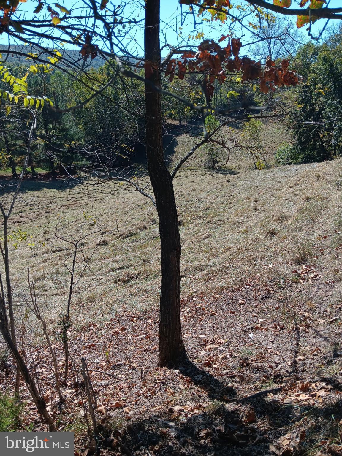 BERKELEY SPRINGS - Residential