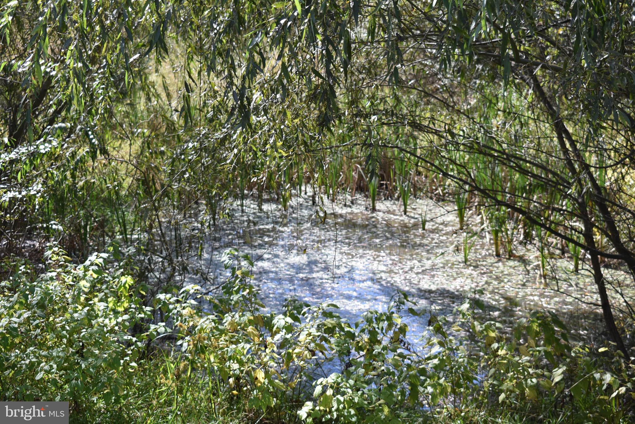 BERKELEY SPRINGS - Residential