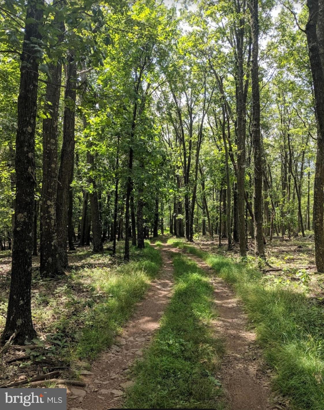 BERKELEY SPRINGS - Residential