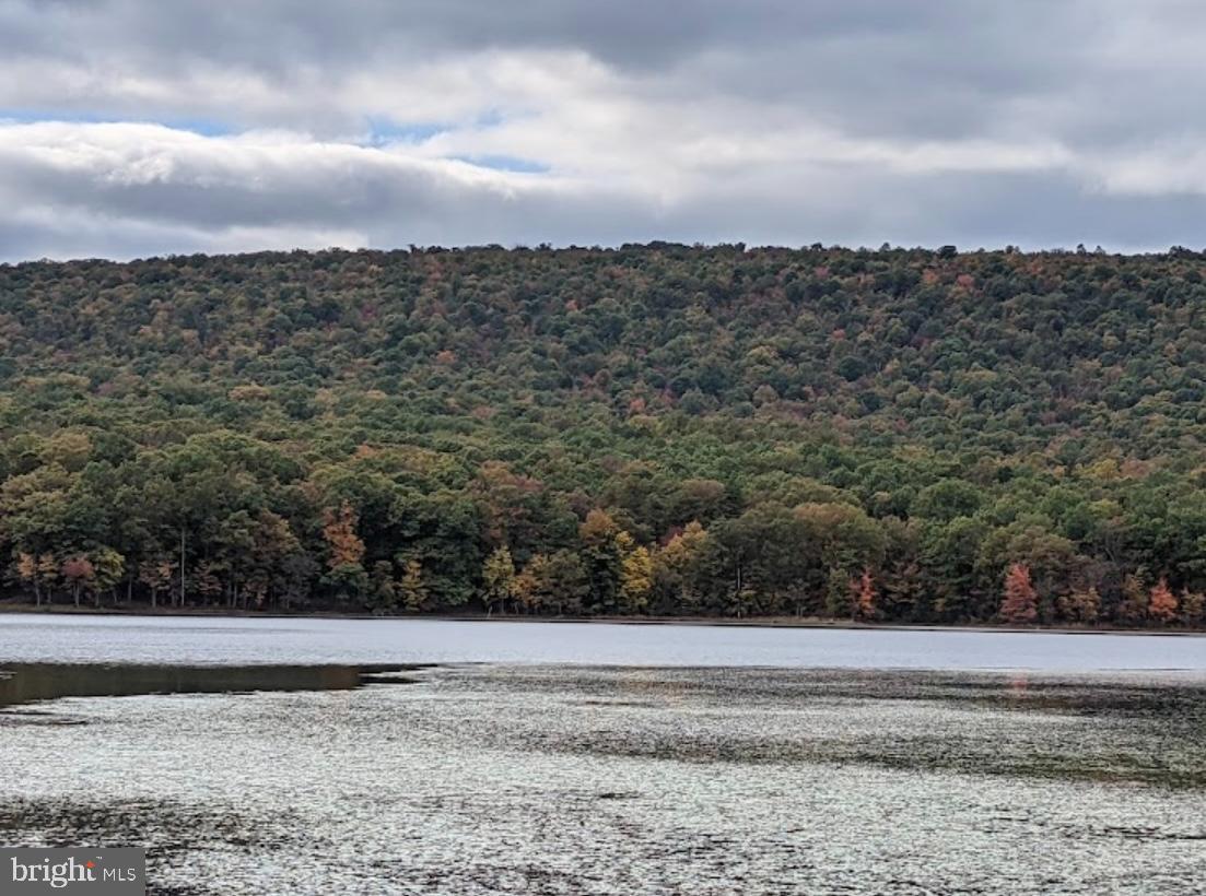 BERKELEY SPRINGS - Residential