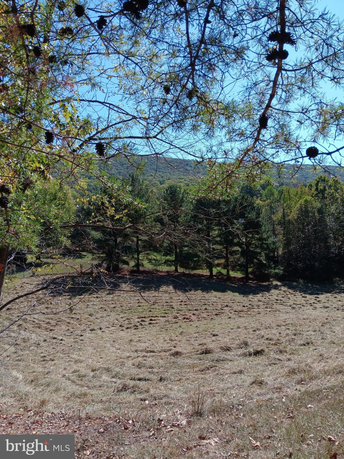BERKELEY SPRINGS - Residential