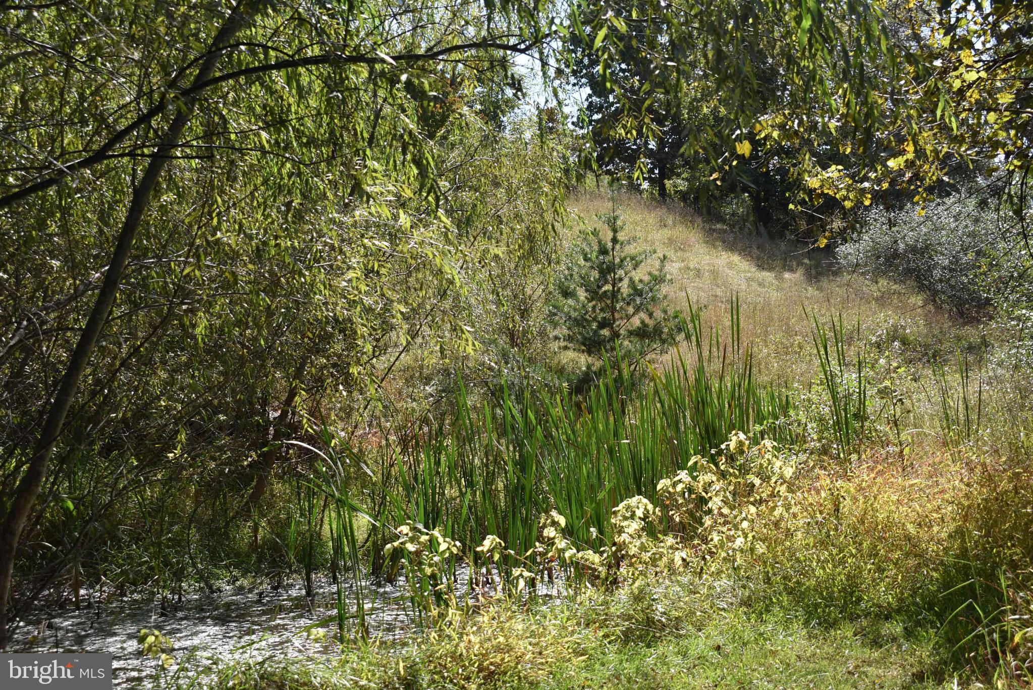 BERKELEY SPRINGS - Residential