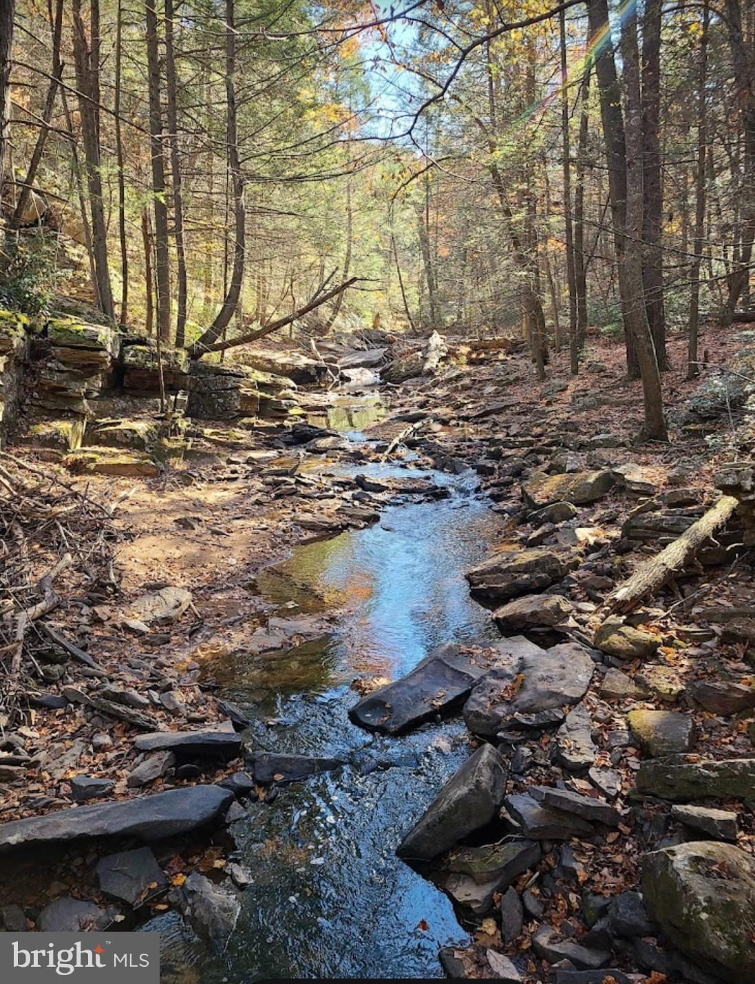BERKELEY SPRINGS - Residential