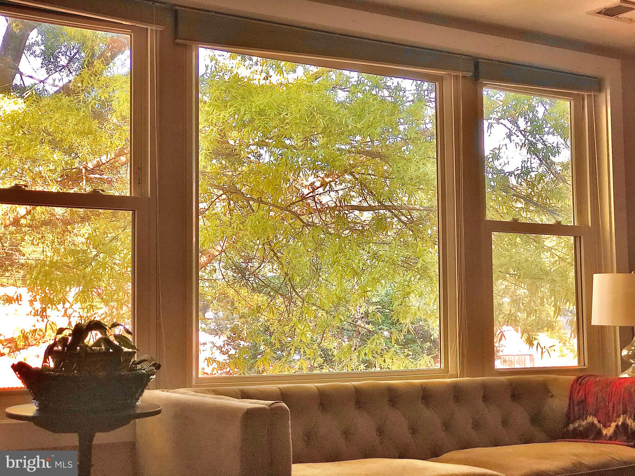 4840 MACARTHUR BOULEVARD NW 501