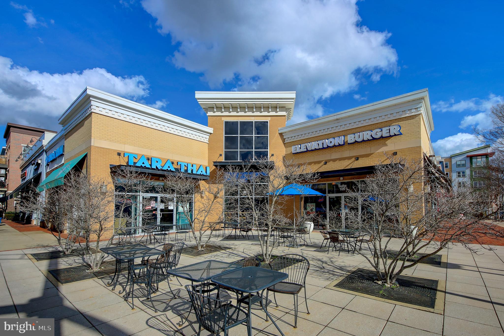 THE OGLETHORPE - Residential