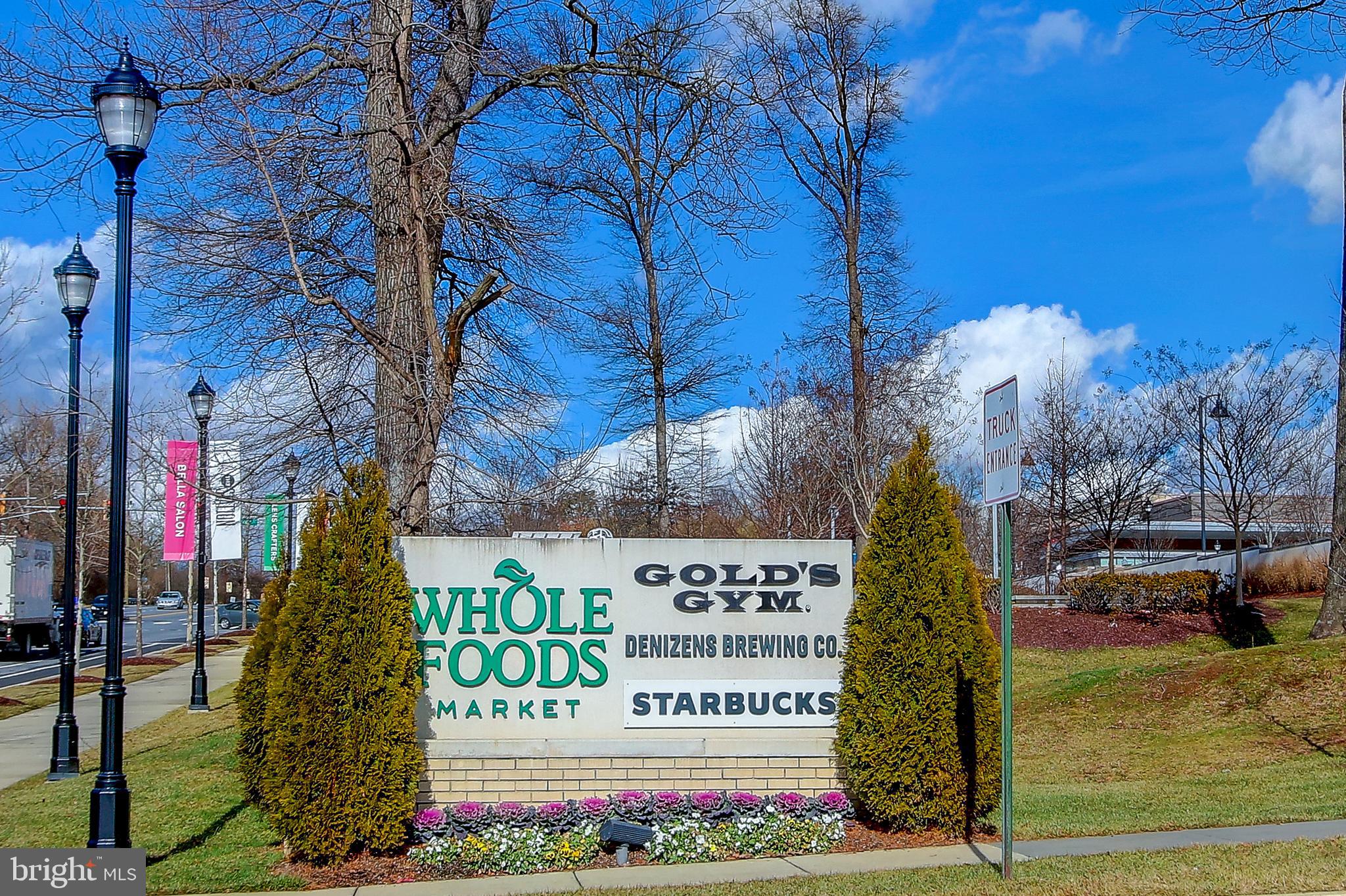 THE OGLETHORPE - Residential