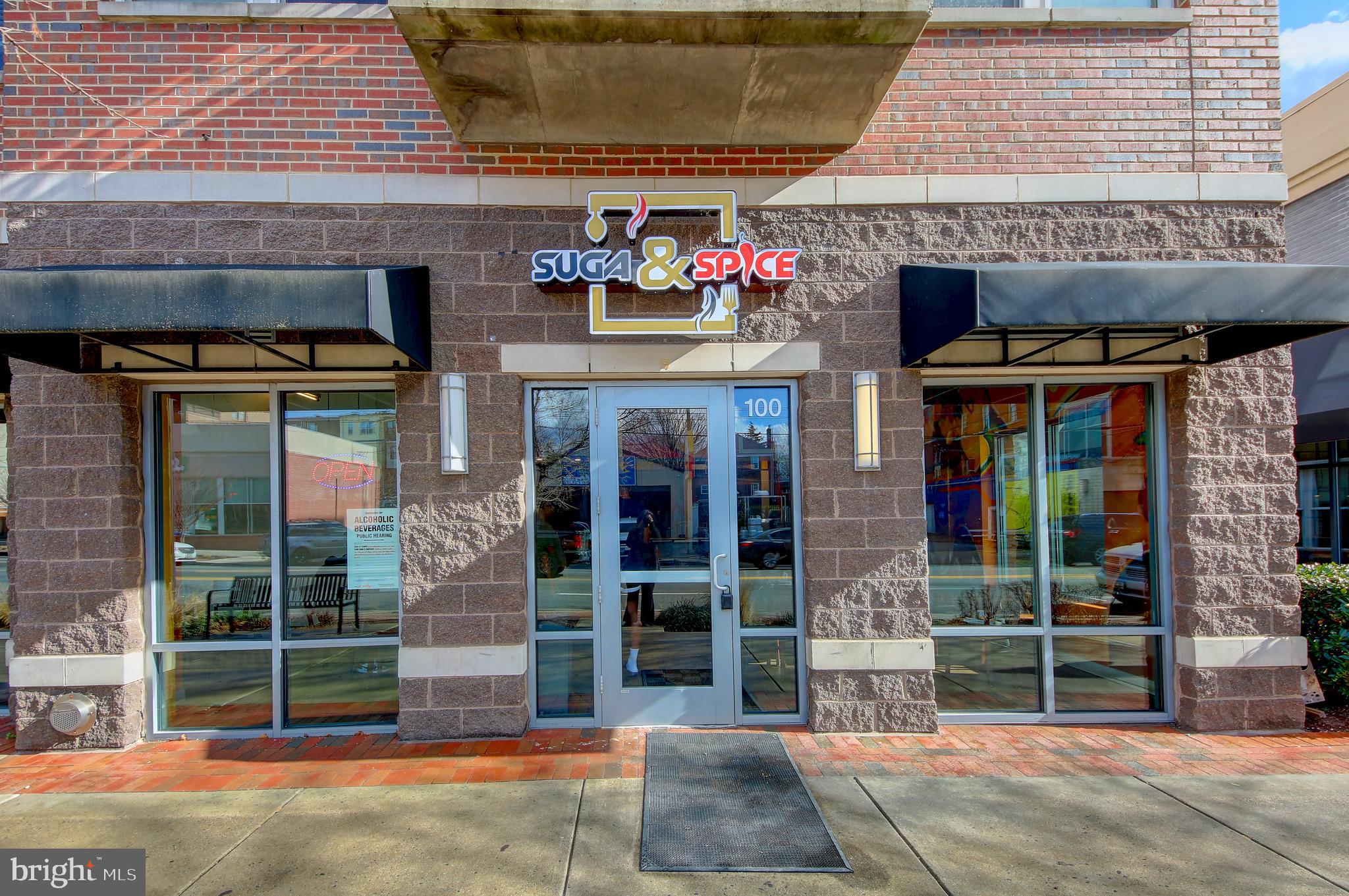 THE OGLETHORPE - Residential