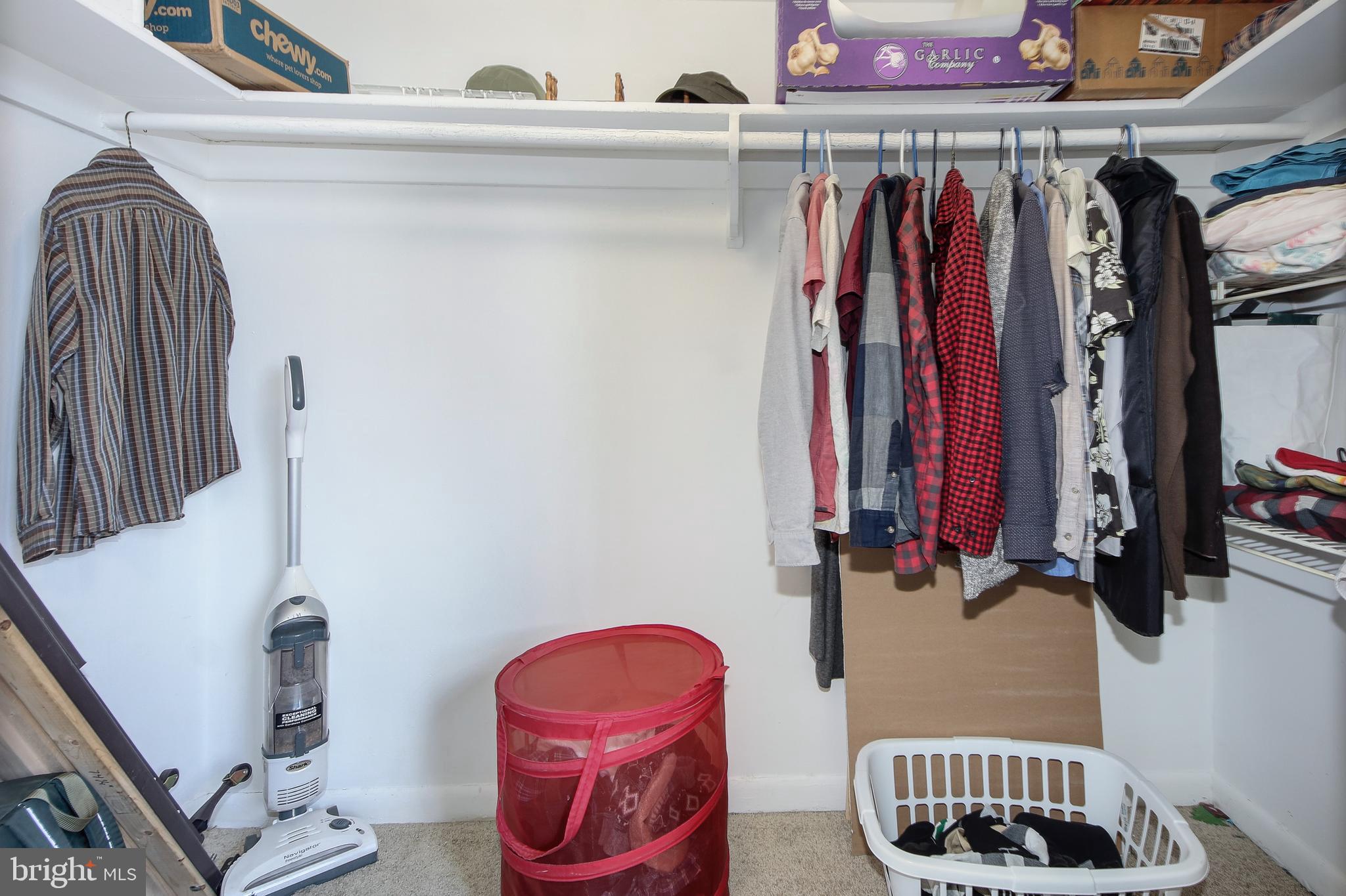 THE OGLETHORPE - Residential