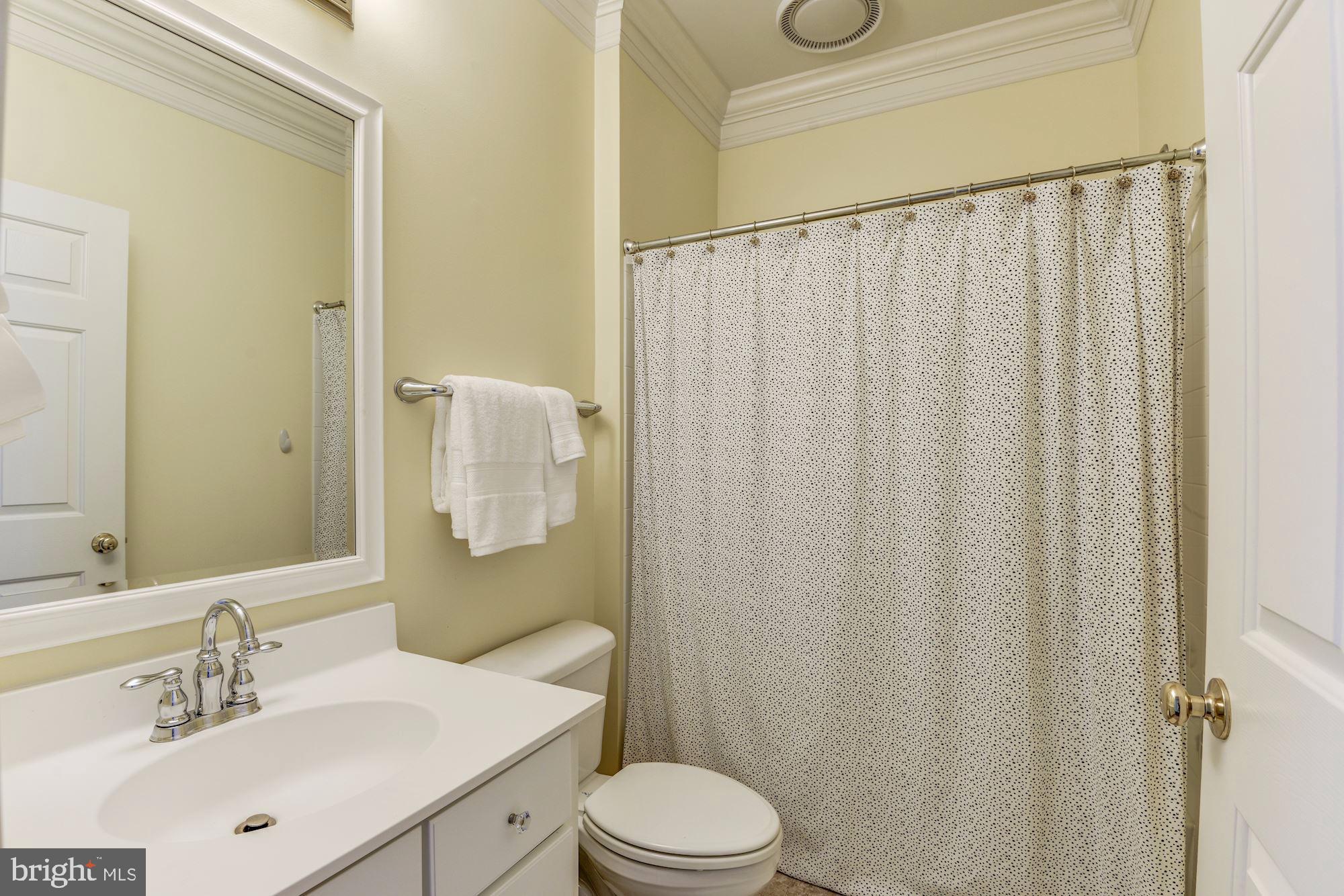 BELMONT GREENE - Residential