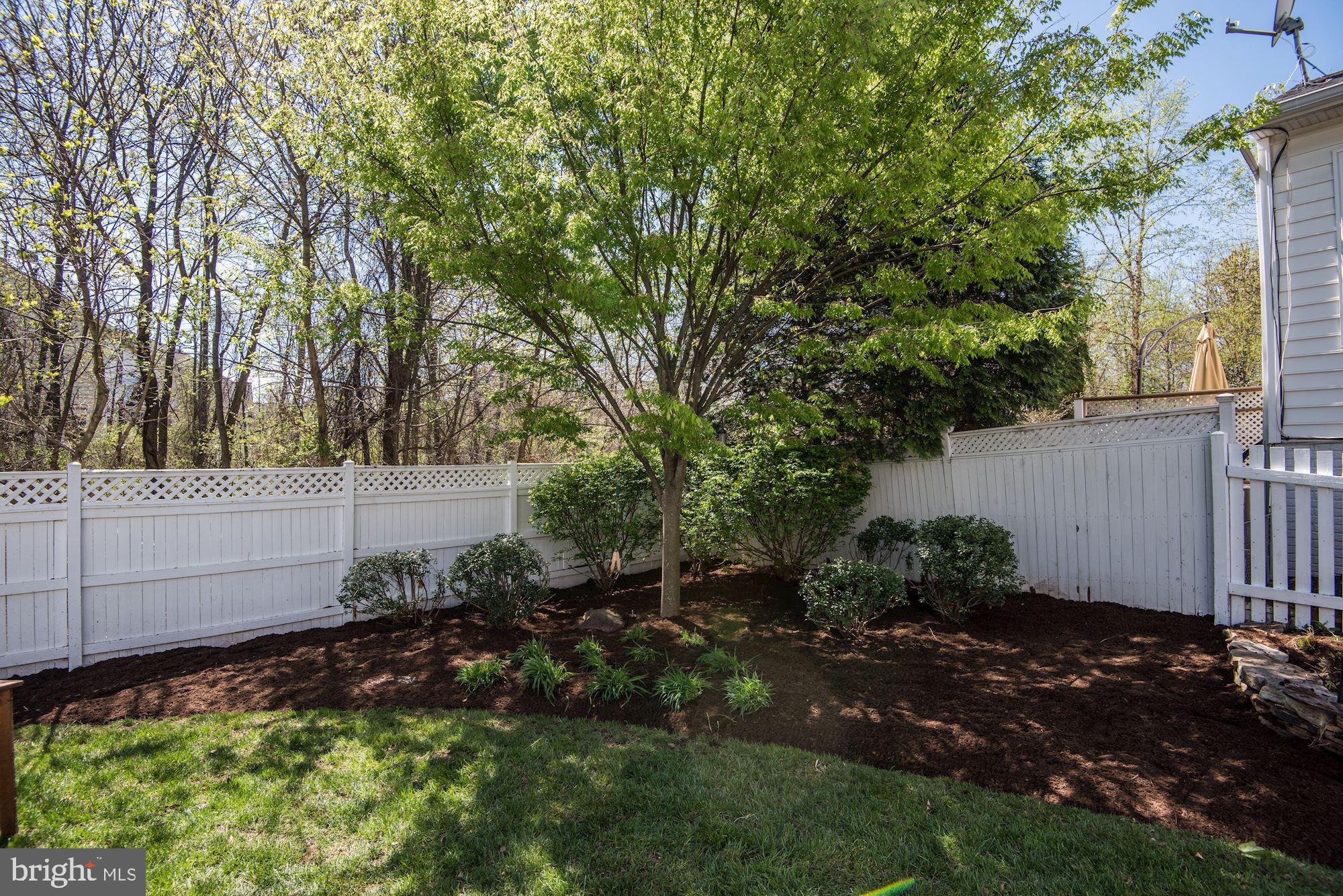 BELMONT GREENE - Residential