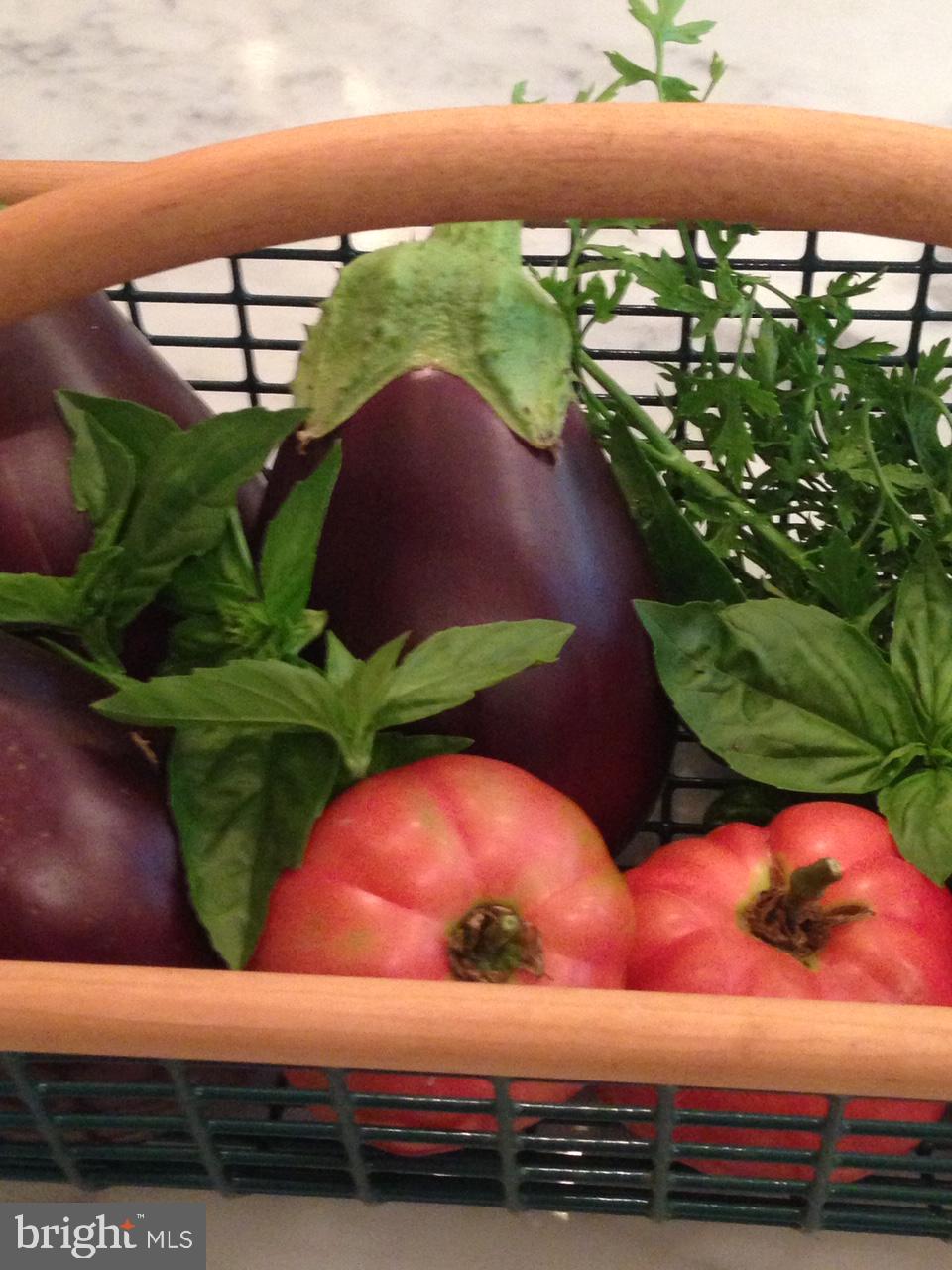 DARNESTOWN - Residential