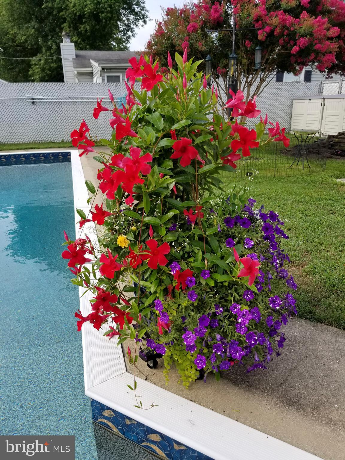 MEADOWBROOK AT BELAIR - Residential