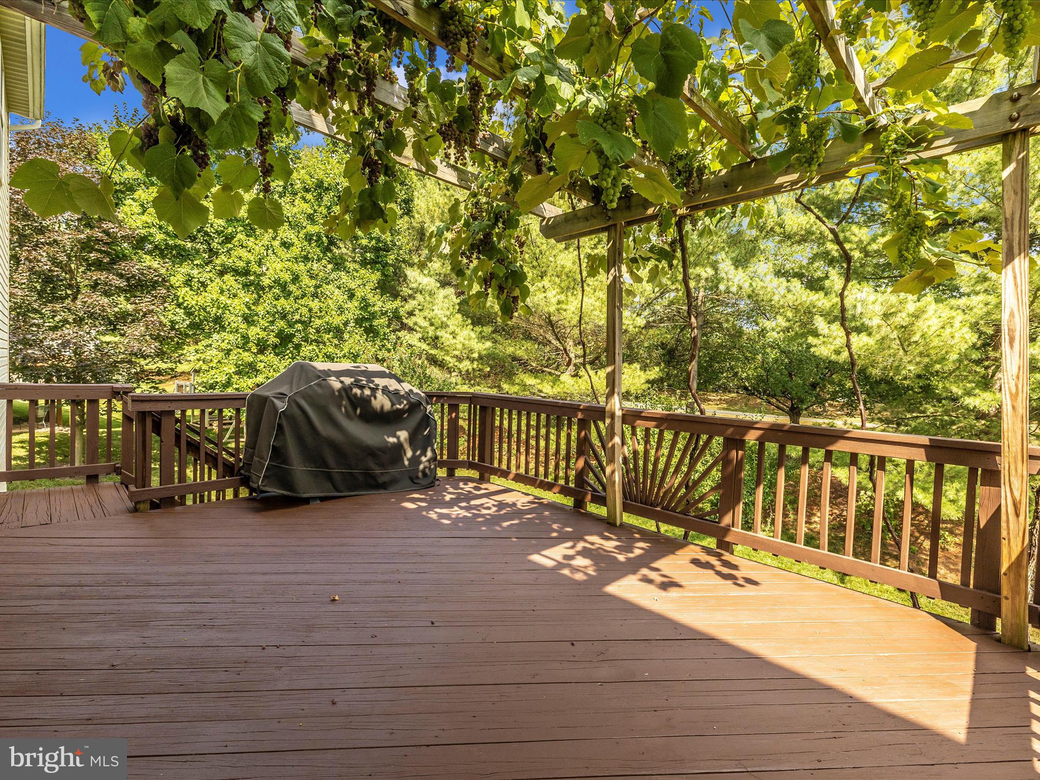 SPRING RIDGE - Residential