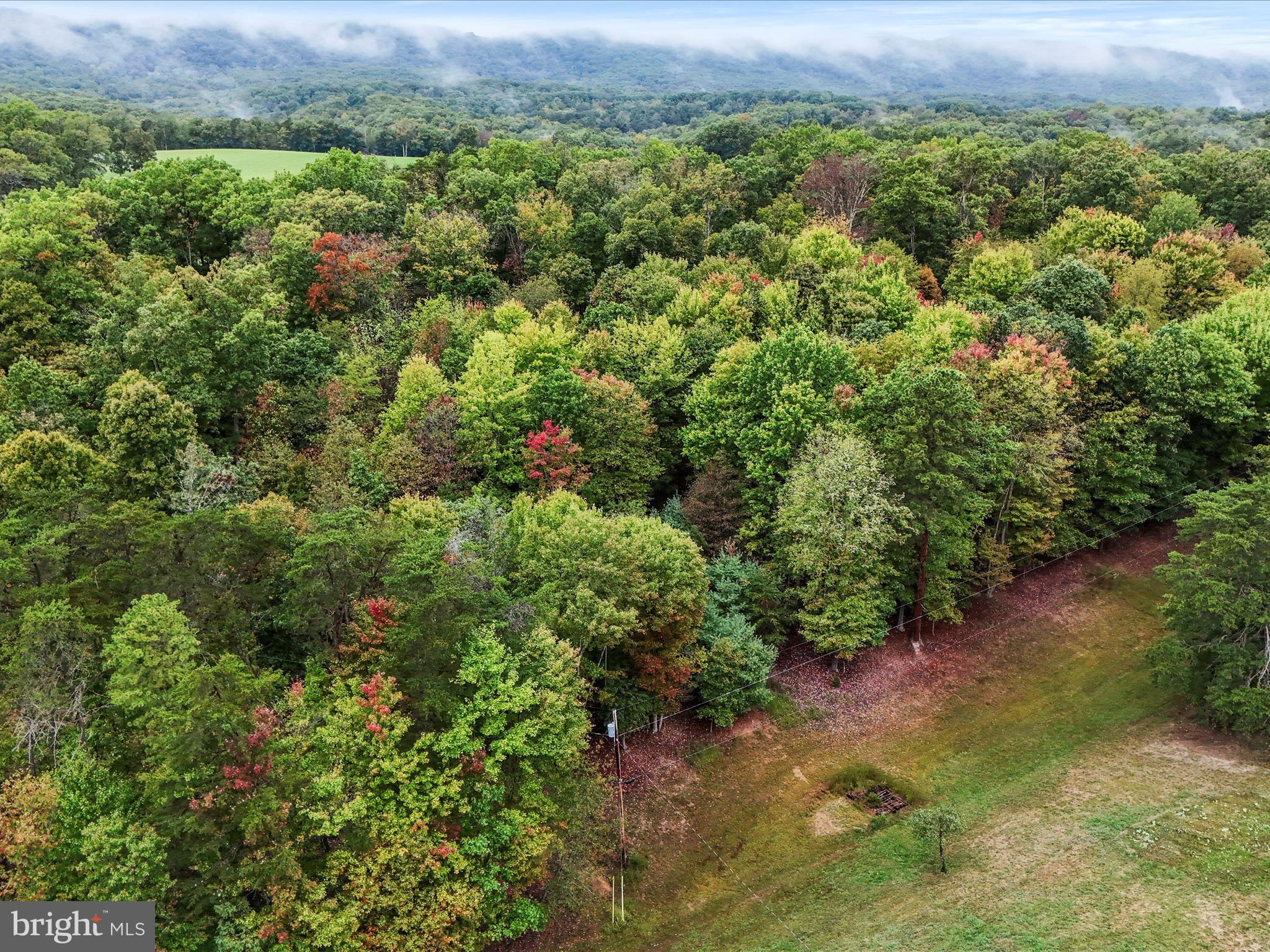 OLDTOWN - Residential