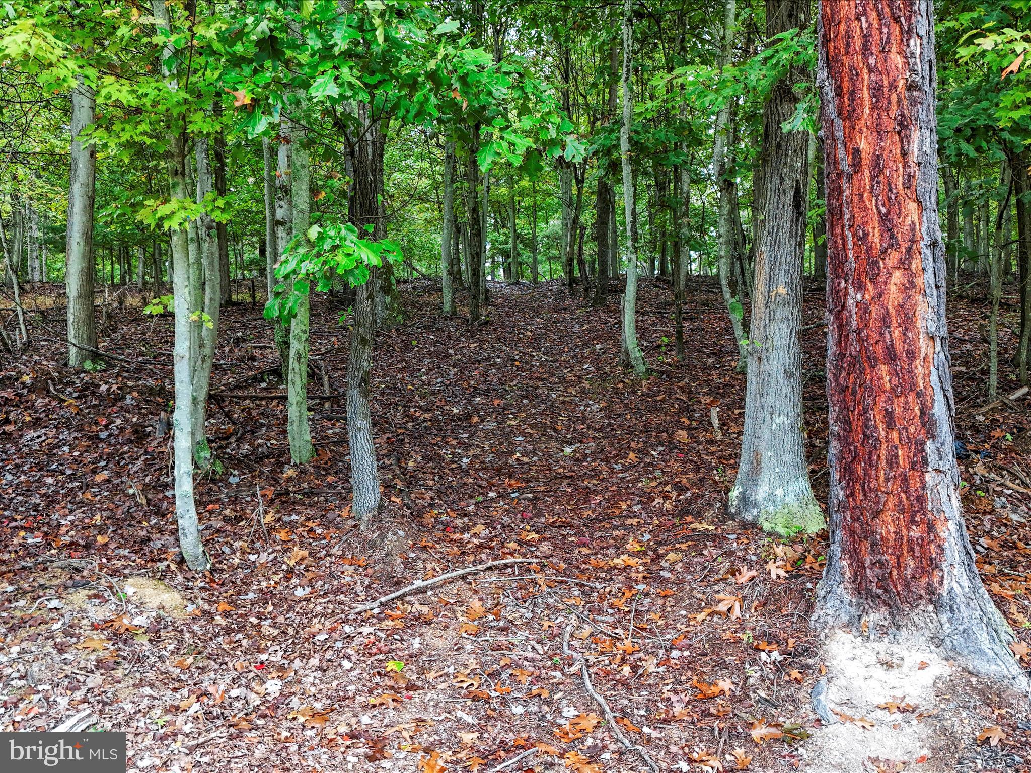 OLDTOWN - Residential