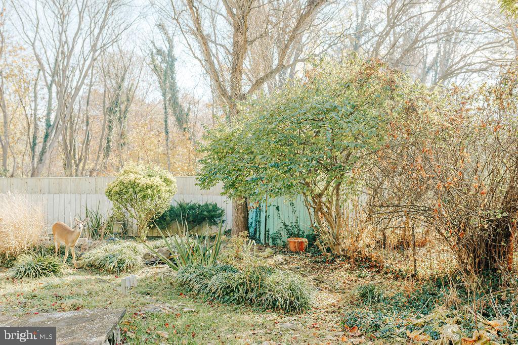 SHEPHERDSTOWN CORPORATION - Residential