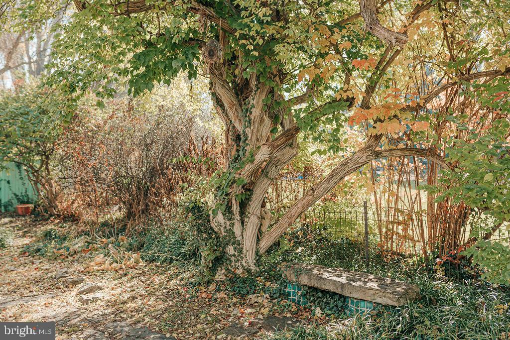 SHEPHERDSTOWN CORPORATION - Residential