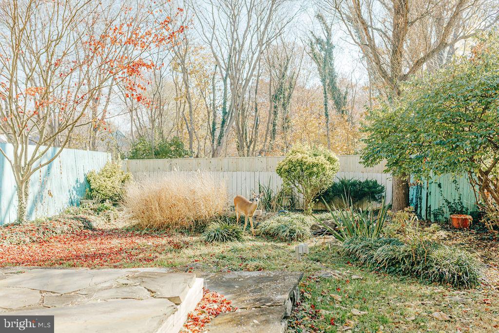 SHEPHERDSTOWN CORPORATION - Residential