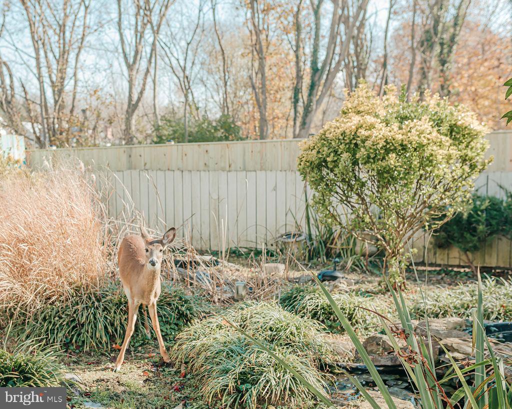 SHEPHERDSTOWN CORPORATION - Residential